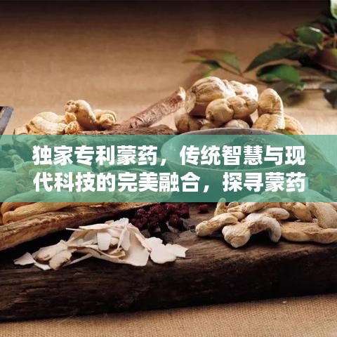 獨(dú)家專利蒙藥，傳統(tǒng)智慧與現(xiàn)代科技的完美融合，探尋蒙藥瑰寶！