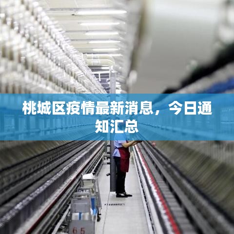 桃城區(qū)疫情最新消息，今日通知匯總