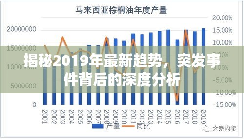 揭秘2019年最新趨勢，突發(fā)事件背后的深度分析