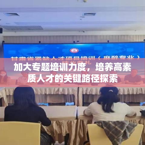 加大專題培訓(xùn)力度，培養(yǎng)高素質(zhì)人才的關(guān)鍵路徑探索