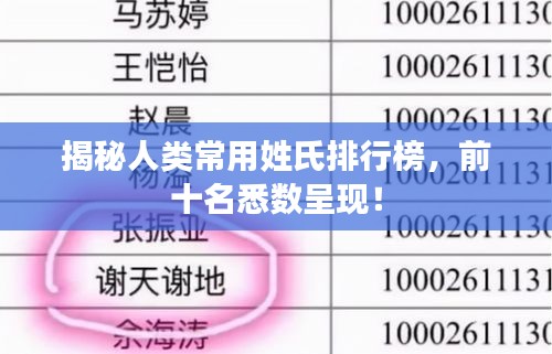 揭秘人類常用姓氏排行榜，前十名悉數(shù)呈現(xiàn)！