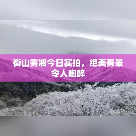 衡山霧凇今日實(shí)拍，絕美霧景令人陶醉