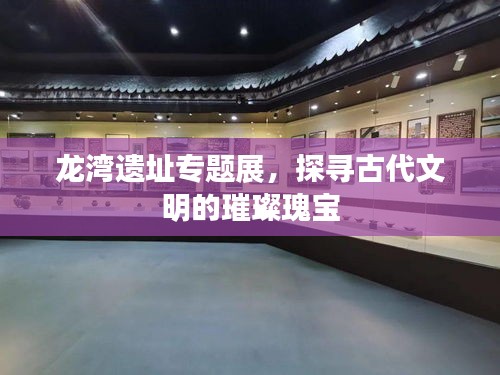 龍灣遺址專題展，探尋古代文明的璀璨瑰寶