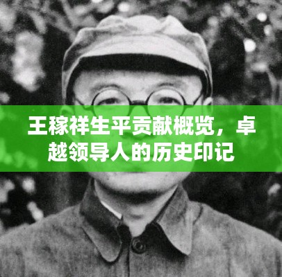 王稼祥生平貢獻(xiàn)概覽，卓越領(lǐng)導(dǎo)人的歷史印記