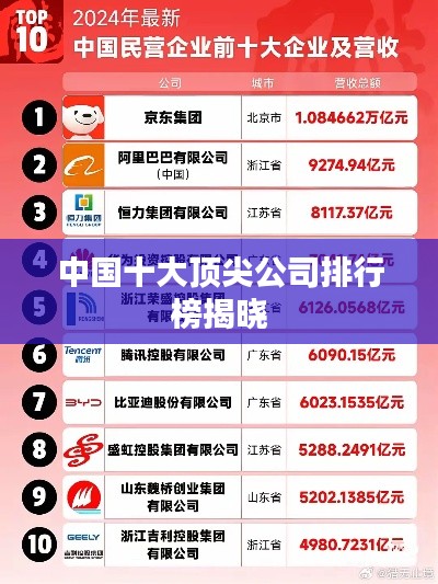 中國(guó)十大頂尖公司排行榜揭曉