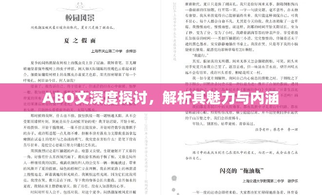 ABO文深度探討，解析其魅力與內(nèi)涵