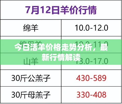 今日活羊價(jià)格走勢(shì)分析，最新行情解讀