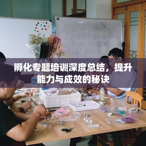 孵化專題培訓(xùn)深度總結(jié)，提升能力與成效的秘訣