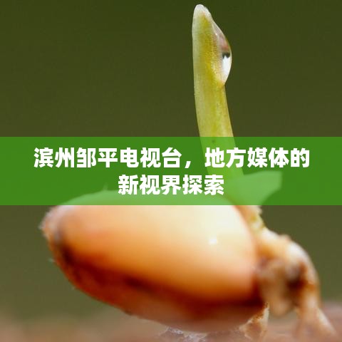 濱州鄒平電視臺，地方媒體的新視界探索