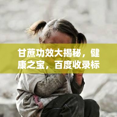 甘蔗功效大揭秘，健康之寶，百度收錄標(biāo)準(zhǔn)標(biāo)題推薦