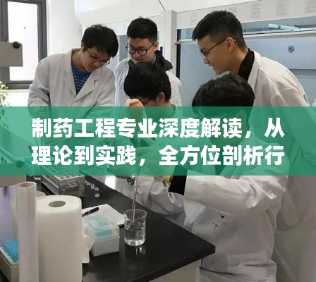 制藥工程專業(yè)深度解讀，從理論到實(shí)踐，全方位剖析行業(yè)奧秘