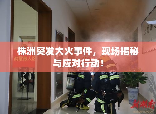 株洲突發(fā)大火事件，現(xiàn)場(chǎng)揭秘與應(yīng)對(duì)行動(dòng)！