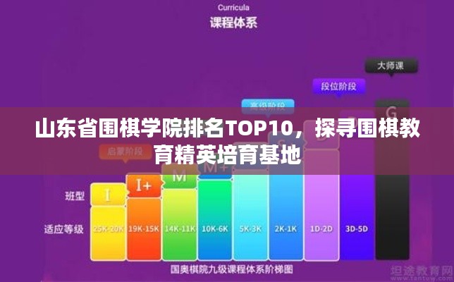 山東省圍棋學院排名TOP10，探尋圍棋教育精英培育基地