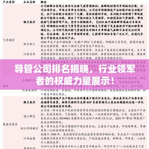 導(dǎo)管公司排名揭曉，行業(yè)領(lǐng)軍者的權(quán)威力量展示！