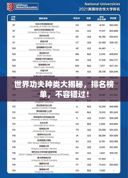 世界功夫種類大揭秘，排名榜單，不容錯(cuò)過(guò)！