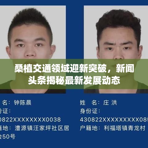 桑植交通領(lǐng)域迎新突破，新聞頭條揭秘最新發(fā)展動態(tài)