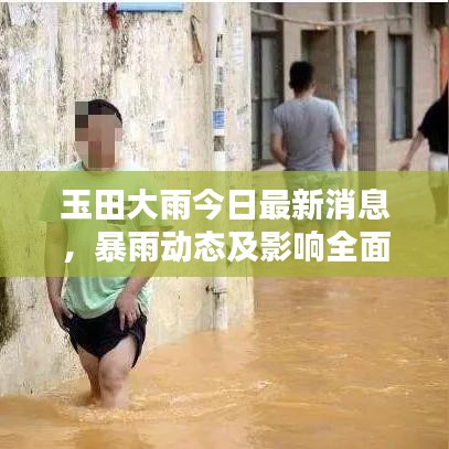 玉田大雨今日最新消息，暴雨動態(tài)及影響全面解析