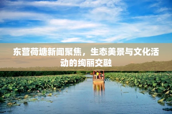 東營荷塘新聞聚焦，生態(tài)美景與文化活動的絢麗交融