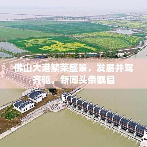 佛山大港繁榮盛景，發(fā)展并駕齊驅(qū)，新聞頭條矚目