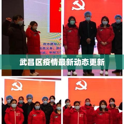 武昌區(qū)疫情最新動態(tài)更新