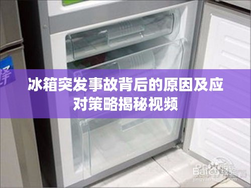 冰箱突發(fā)事故背后的原因及應對策略揭秘視頻