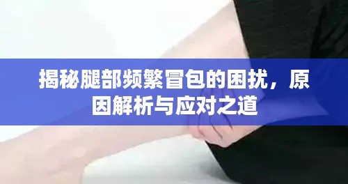 揭秘腿部頻繁冒包的困擾，原因解析與應(yīng)對之道