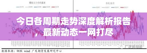 今日各周期走勢深度解析報(bào)告，最新動態(tài)一網(wǎng)打盡