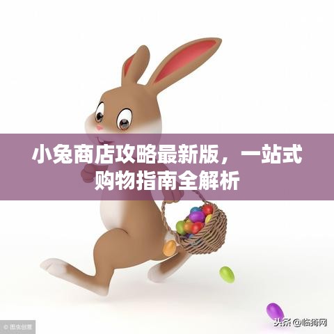 小兔商店攻略最新版，一站式購(gòu)物指南全解析