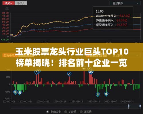玉米股票龍頭行業(yè)巨頭TOP10榜單揭曉！排名前十企業(yè)一覽無余