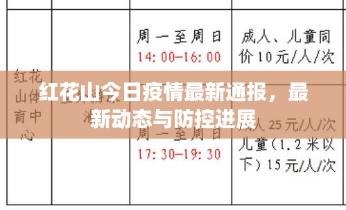 紅花山今日疫情最新通報，最新動態(tài)與防控進展