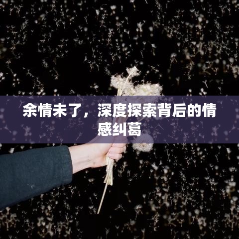 余情未了，深度探索背后的情感糾葛