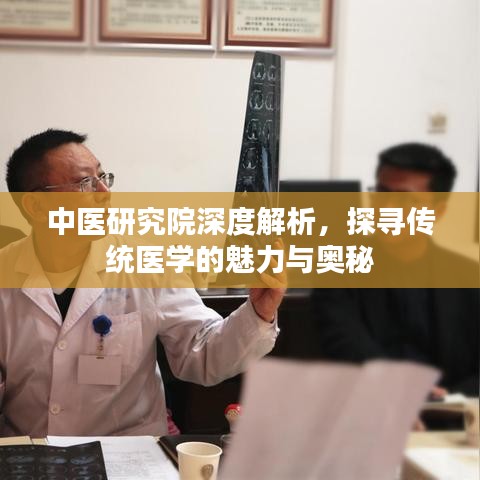 中醫(yī)研究院深度解析，探尋傳統(tǒng)醫(yī)學(xué)的魅力與奧秘