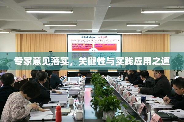 專家意見落實，關鍵性與實踐應用之道