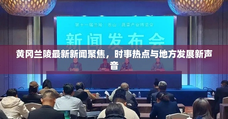 黃岡蘭陵最新新聞聚焦，時事熱點與地方發(fā)展新聲音