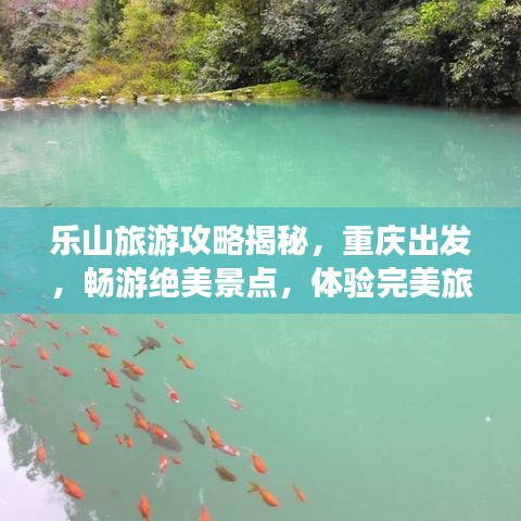 樂山旅游攻略揭秘，重慶出發(fā)，暢游絕美景點，體驗完美旅程！
