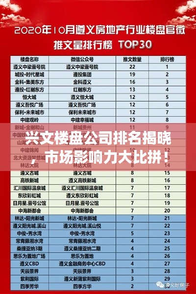 興文樓盤公司排名揭曉，市場(chǎng)影響力大比拼！