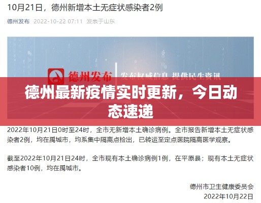 德州最新疫情實(shí)時(shí)更新，今日動(dòng)態(tài)速遞