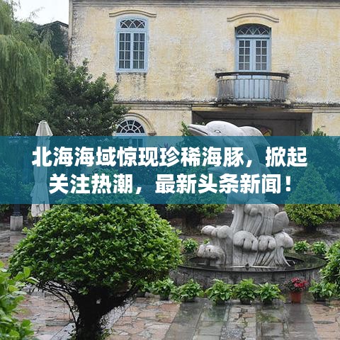 北海海域驚現(xiàn)珍稀海豚，掀起關(guān)注熱潮，最新頭條新聞！