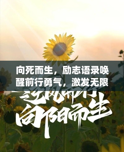向死而生，勵志語錄喚醒前行勇氣，激發(fā)無限潛能！
