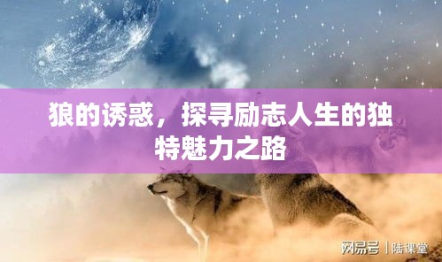 狼的誘惑，探尋勵(lì)志人生的獨(dú)特魅力之路