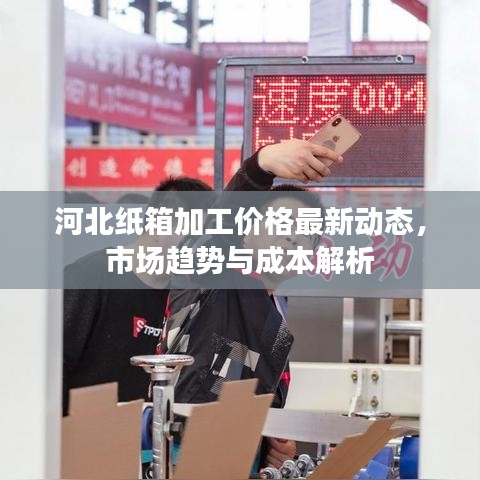 河北紙箱加工價格最新動態(tài)，市場趨勢與成本解析