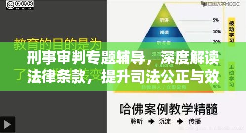 刑事審判專題輔導(dǎo)，深度解讀法律條款，提升司法公正與效率