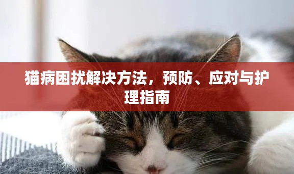 貓病困擾解決方法，預(yù)防、應(yīng)對與護(hù)理指南