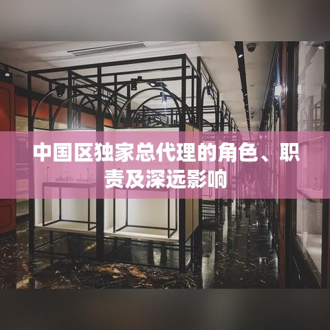 中國(guó)區(qū)獨(dú)家總代理的角色、職責(zé)及深遠(yuǎn)影響