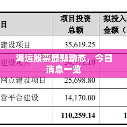 海運股票最新動態(tài)，今日消息一覽