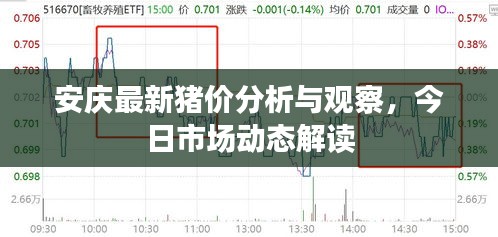 安慶最新豬價分析與觀察，今日市場動態(tài)解讀