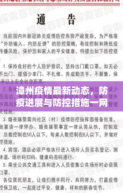 漳州疫情最新動態(tài)，防疫進(jìn)展與防控措施一網(wǎng)打盡