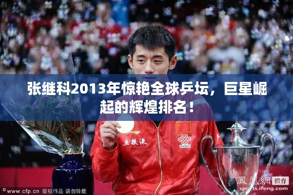 張繼科2013年驚艷全球乒壇，巨星崛起的輝煌排名！