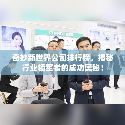 奇妙新世界公司排行榜，揭秘行業(yè)領(lǐng)軍者的成功奧秘！