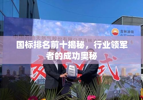 國標(biāo)排名前十揭秘，行業(yè)領(lǐng)軍者的成功奧秘